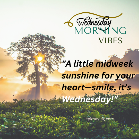 Cute Wednesday Blessings