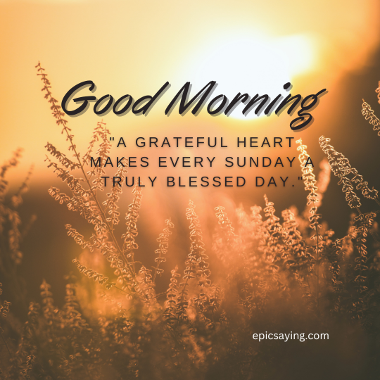 Thankful Sunday Blessings