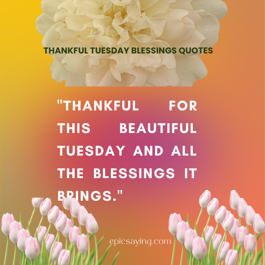 Thankful Tuesday Blessings Quotes