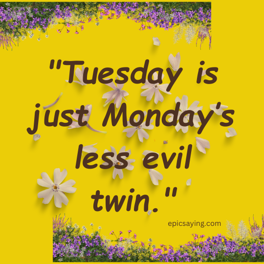 Tuesday Blessings Funny