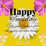 Tuesday Blessings Quotes