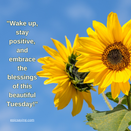 positive good morning tuesday blessings