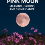 “Full Pink Moon rising over a field of blooming pink phlox flowers under a twilight sky, with text overlay reading 'Full Moon Pink Moon – Meaning, Origins, and Significance'.”