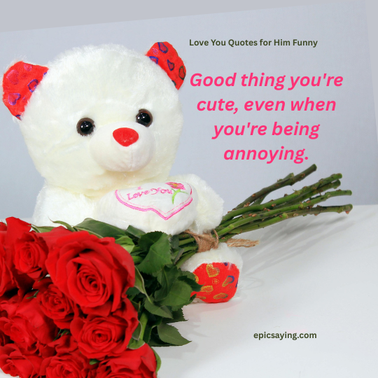 Love You Quotes for Him Funny