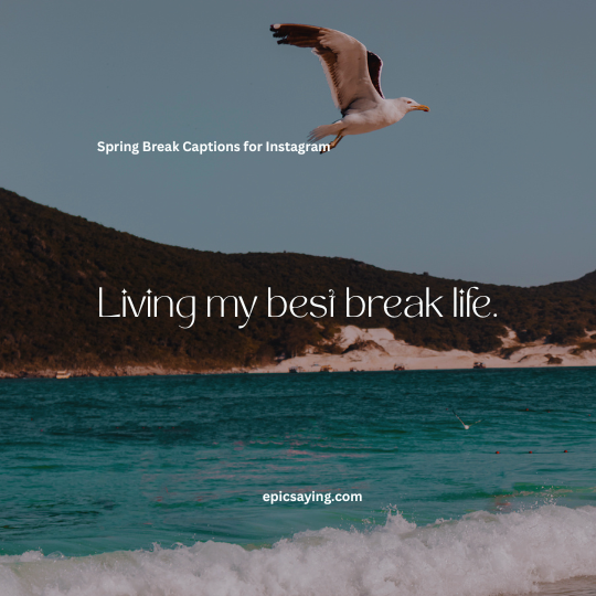 Spring Break Captions Instagram