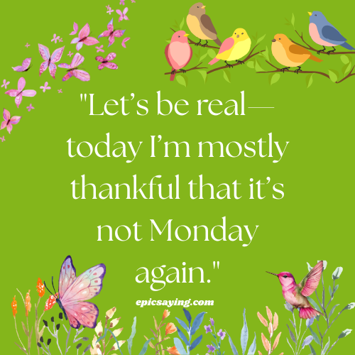 Thankful Thursday Quotes Funny