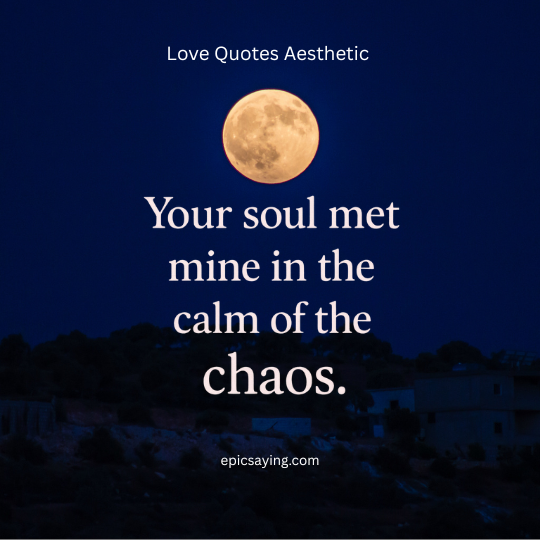 a moon in the sky love quotes aesthetic
